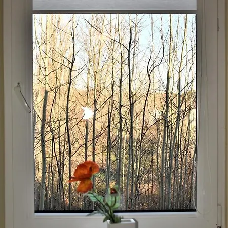 Gero Vejo Namai Guest house *