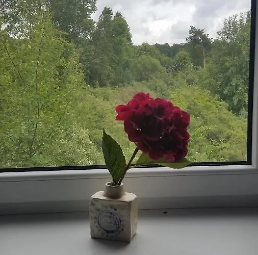 Гостевой дом Gero Vejo Namai *