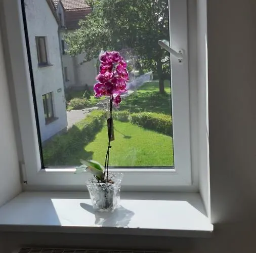 Gero Vejo Namai * Клайпеда