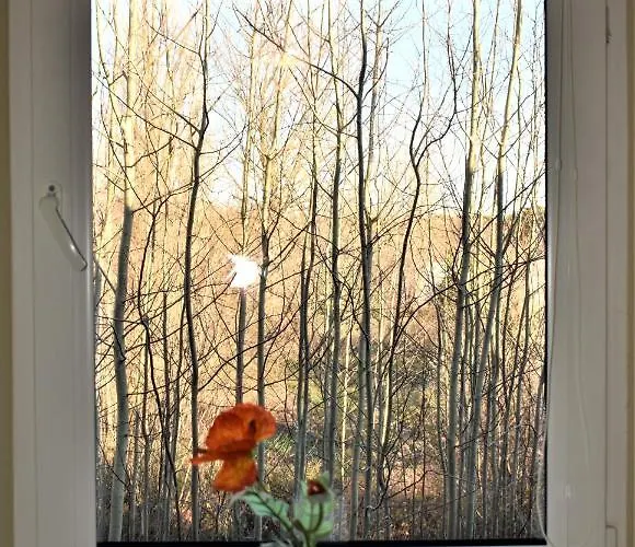 Gero Vejo Namai Гостевой дом *